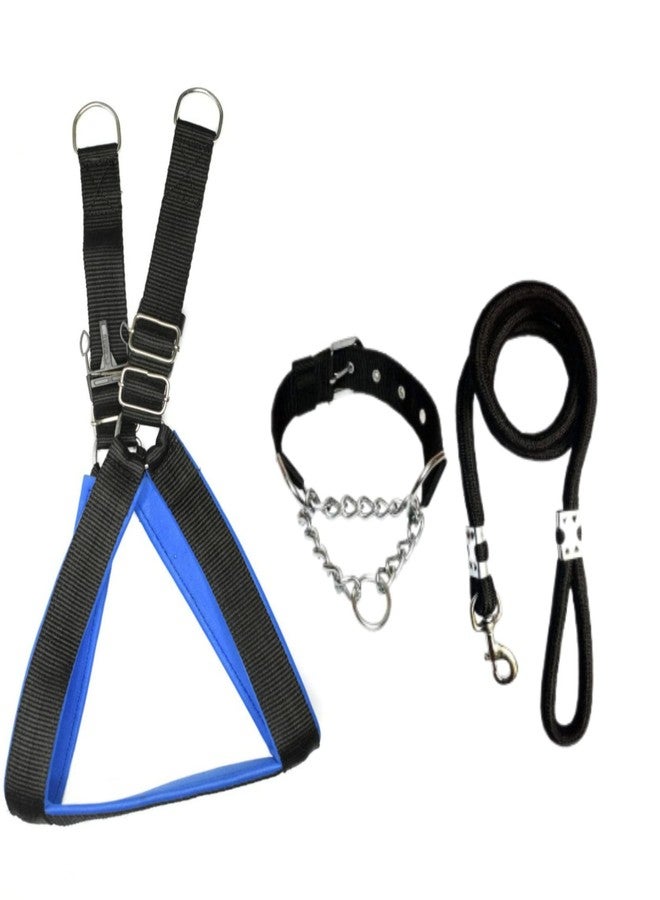 KittuPet طقم طوق خنق للكلاب من كيتو بيت، مصنوع من الفولاذ المقاوم للصدأ عالي الجودة، مع حزام صدر للكلاب سهل التحكم، وحبل تدريب متين منسوج يدويًا. (مقاس XL، أسود-أزرق) - Image 1